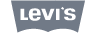 LevisGrey Auritas: Leaders in Data & Process Optimization