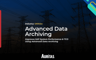 Utilities Advanced Data Archiving by Auritas