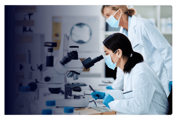 {new} LivaNova: Standardize Data Governance For Large-Scale Merger Auritas LLC LivaNova {new} LivaNova: Standardize Data Governance For Large-Scale Merger