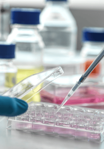 Healthcare & Life Sciences Auritas LLC 1 2 Healthcare & Life Sciences