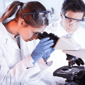 Healthcare & Life Sciences Auritas LLC 12 1 Healthcare & Life Sciences