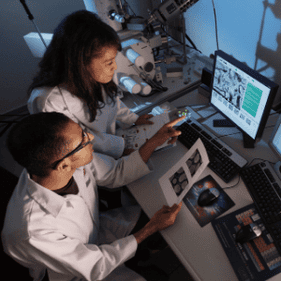 Healthcare & Life Sciences Auritas LLC 13 1 Healthcare & Life Sciences