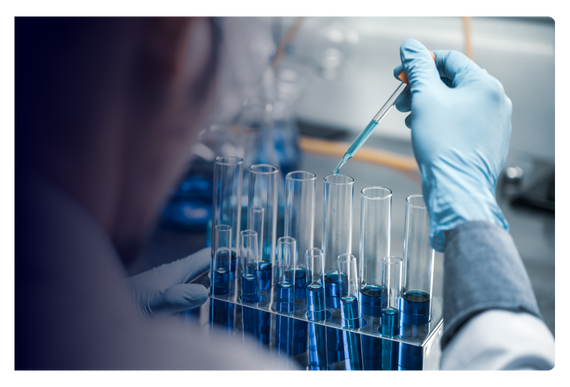 {new} Bioventus: Optimizing Order to Cash Contract Management with Vistex for SAP Auritas LLC Bioventus 2 1 {new} Bioventus: Optimizing Order to Cash Contract Management with Vistex for SAP