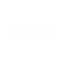 17 Automotive